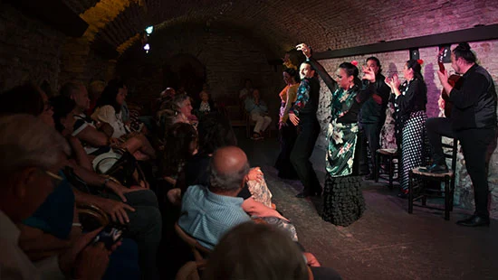 Flamenco Dreams Show