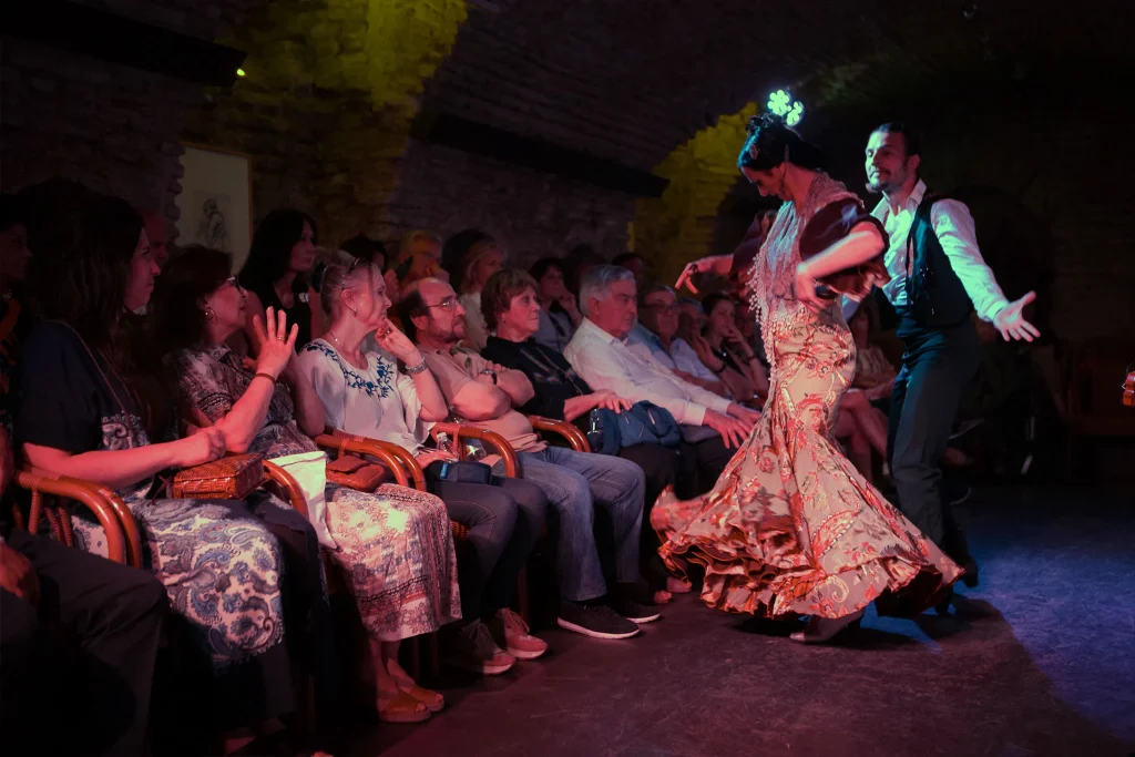 Flamencos Dreams Show​