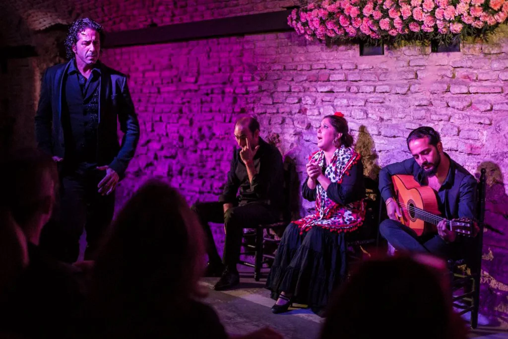 Flamencos Dreams Show​