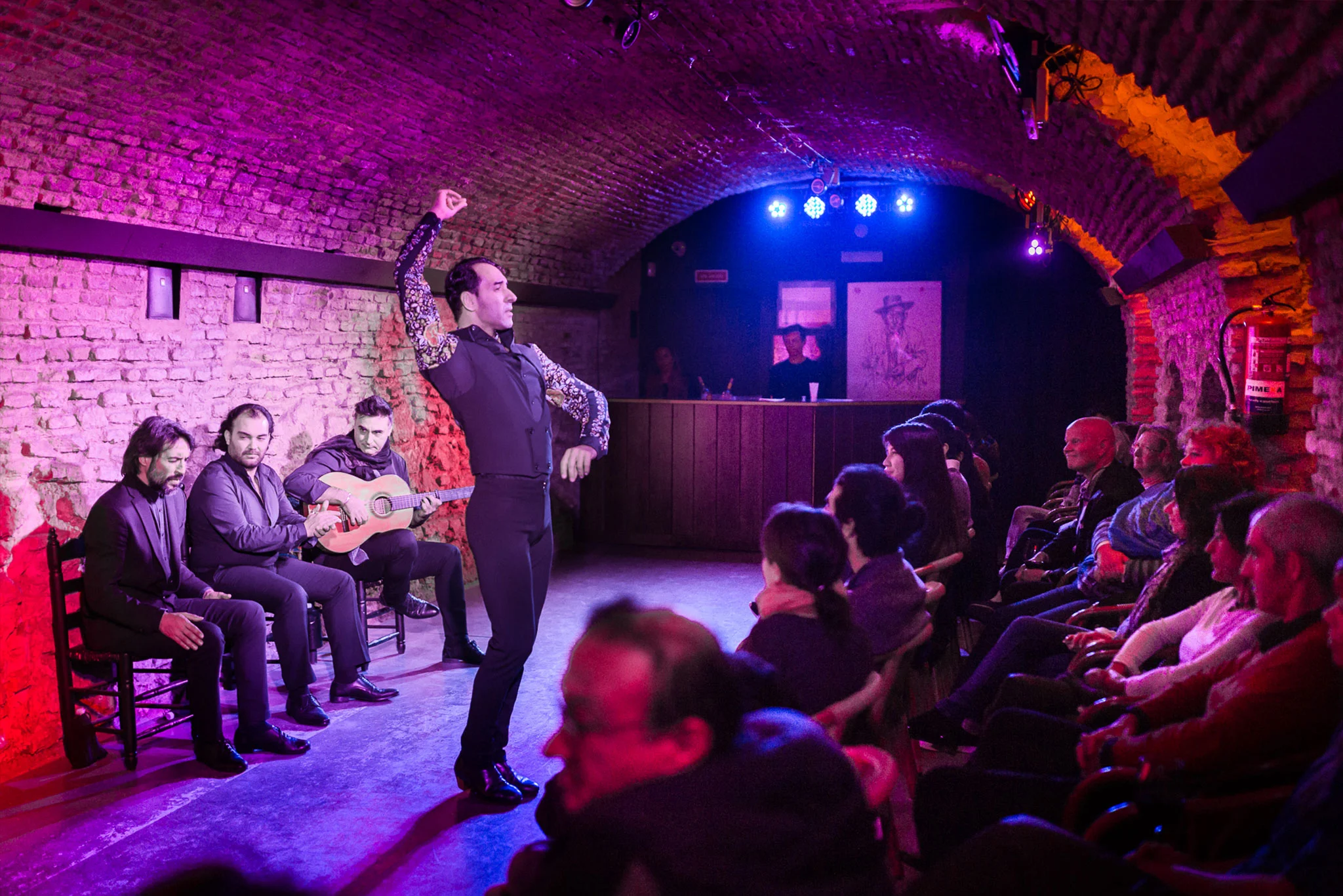 Flamencos Dreams Show​